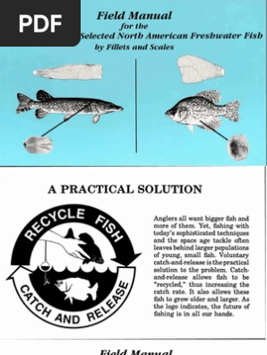 Fish Manual