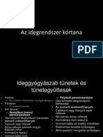 Az Idegrendszer Kortana-1