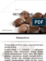 Metabolisme