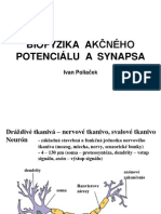 Akcny Potencial Synapsa