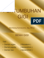 Pertumbuhan Gigi 1