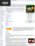 Download More About Orange-Fruit by ismvohra SN21635196 doc pdf
