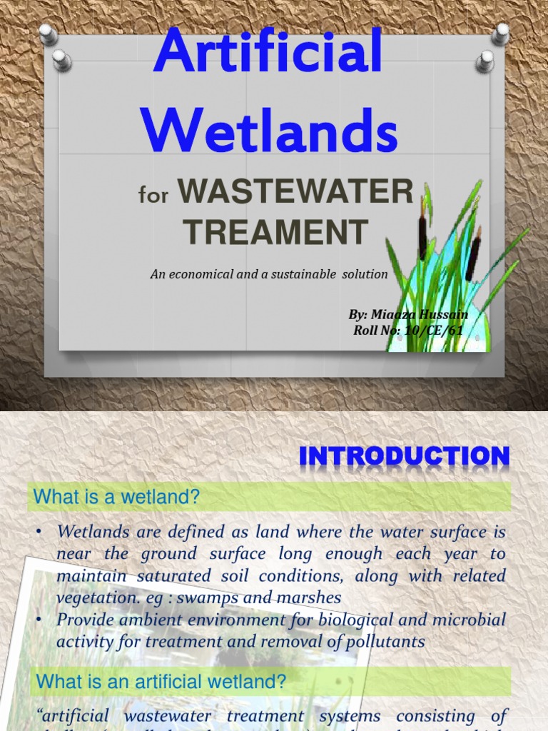 Artificial Wetlands Sewage Treatment Wetland