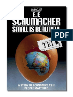 135535169-E-F-Schumacher-Mic-inseamnă-frumos-Economie-cu-chip-uman-TEI