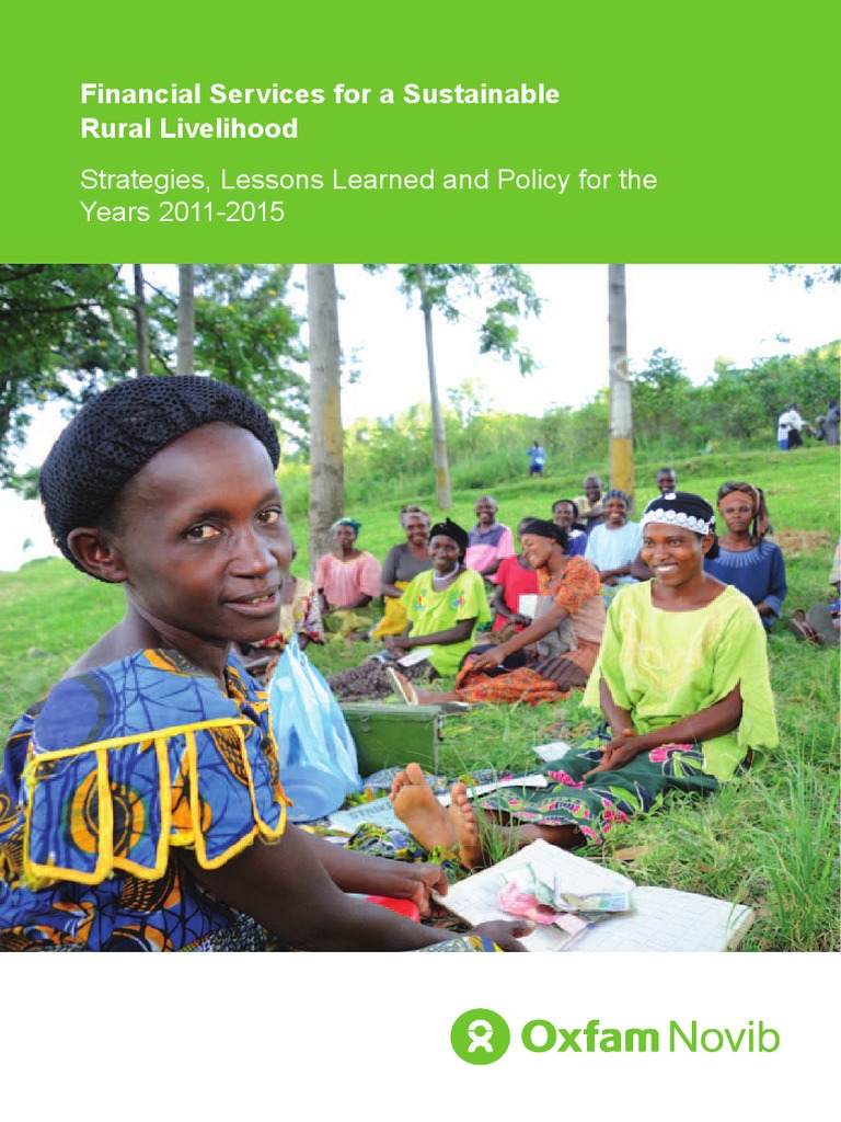 Financial Services For A Sustainable Rural Livelihood: Strategies ...
