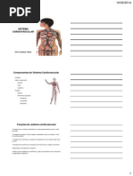 Aula Sistema Circulatorio