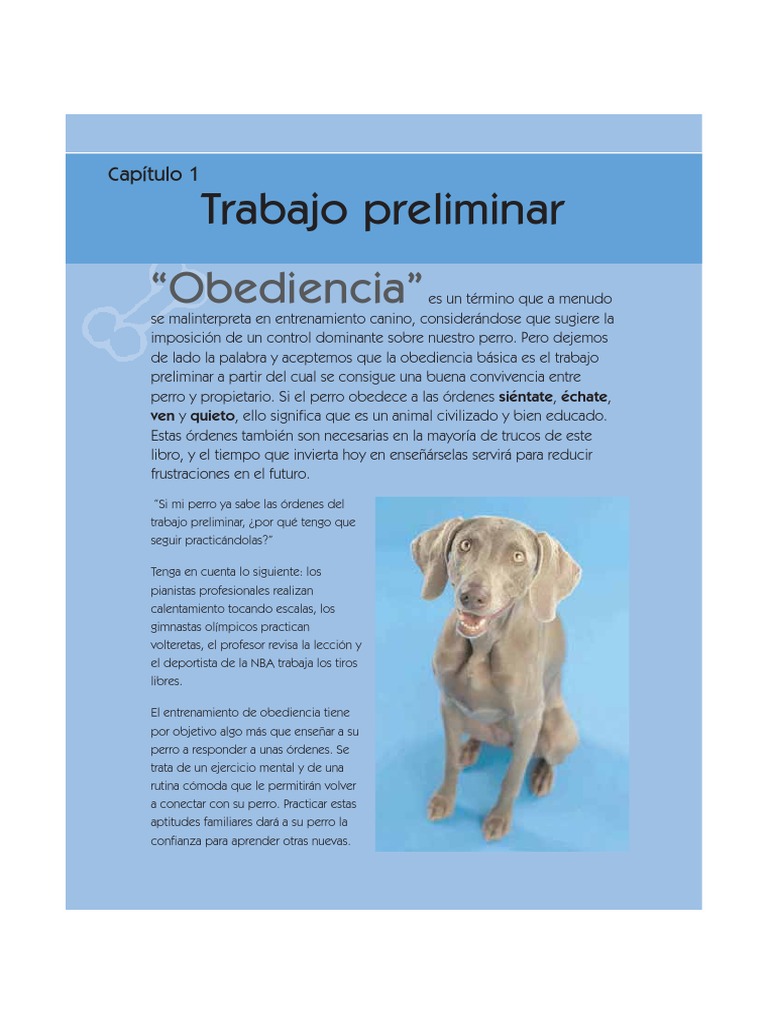 101 Trucos Caninos