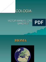 Presentacic3b3n Biomas