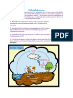 Ciclo del nitrógeno y fosforo