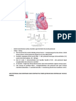 Aksi Potensial Dan Kontraksi Dari Contractile Fibers (Atrium Dan Ventrkular Muscle Fibers)