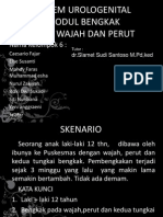 Kel 6 Cemput - Modul Bengkak Pada Wajah Dan Perut