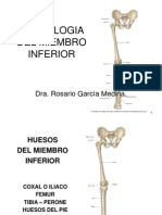 (5) Miembro Inferior-Osteologia