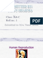 Xth Class Human Reproduction Notes