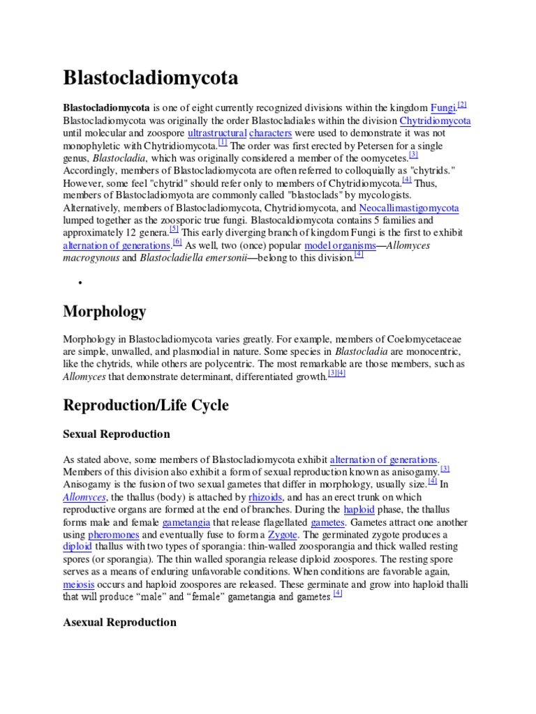 Blastocladiomycota PDF Fungus Biology