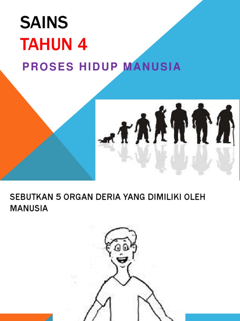 Gerak Balas Terhadap Rangsangan Pdf