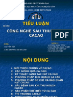 cong nghệ sau thu hoach cacao_nhóm41