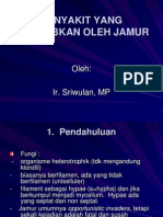 Penyakit Yang Disebabkan Oleh Jamur