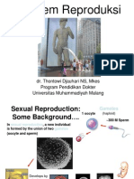 Embriolgi Sistem Uropoetica