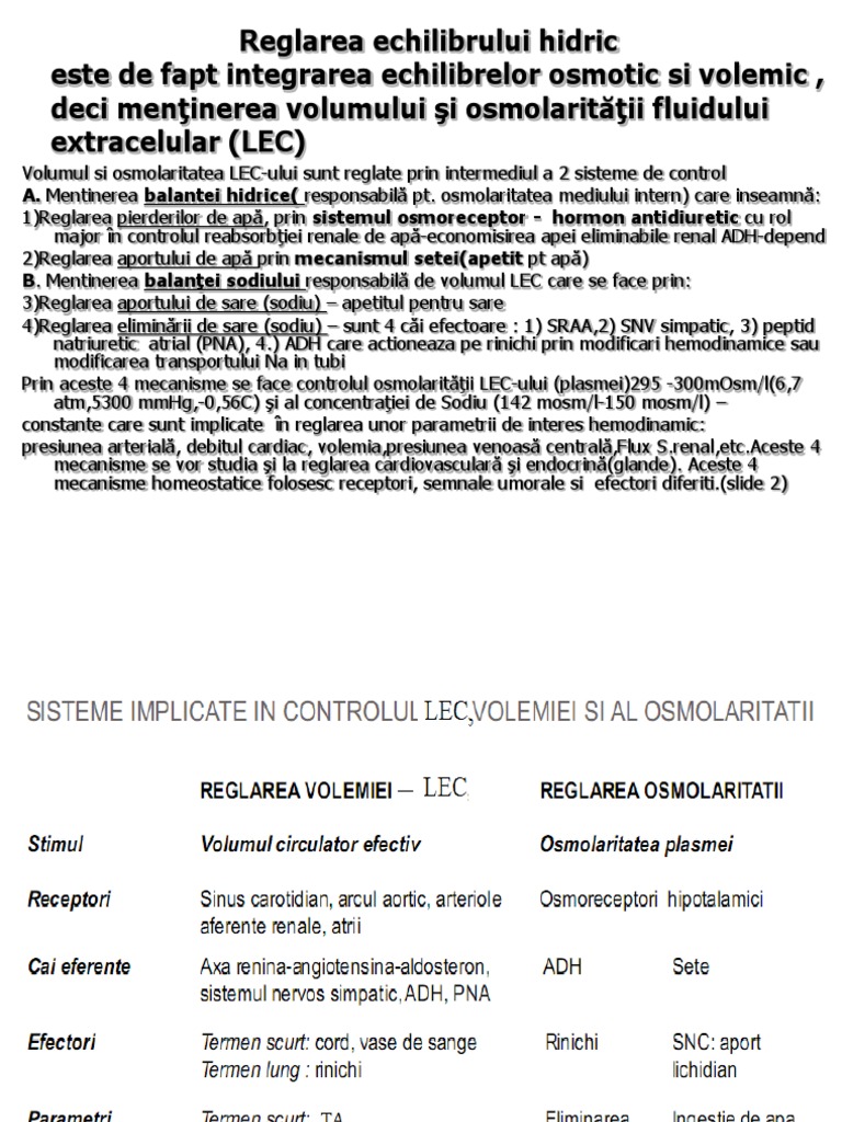 Apa | PDF