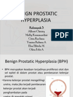 SKPF - BPH - Kel 3