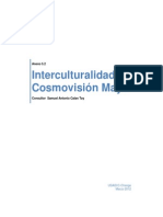 Complementariedad Maya PDF