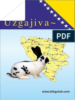 Odgajivacbr 8