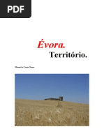 Évora. Território.
