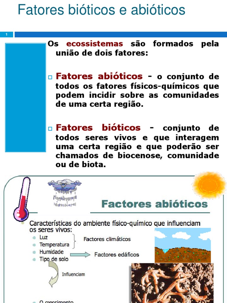 Fatores Abióticos em Ecossistemas | PDF | Ecossistema | Solo
