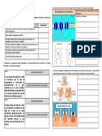 Actividades 6 Bioelementos