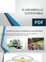 El Desarrollo Sustentable Presentacion