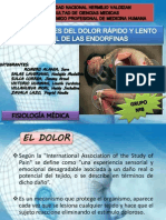 El dolor: tipos, mecanismos y tratamiento