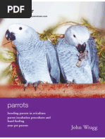 Download Parrot Rearing Guide by likeaquarian SN216564196 doc pdf