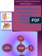 Morfologia, Patologia Si Fiziologia Sistemului Urinar