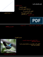 Birds in Palestine