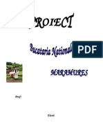 Proiect Cls. XIII R.P.1