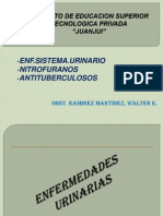 12ss Enf.sistema.urinario Nitrofuranos Antituberculosos