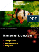 Manipulasi Kromosom
