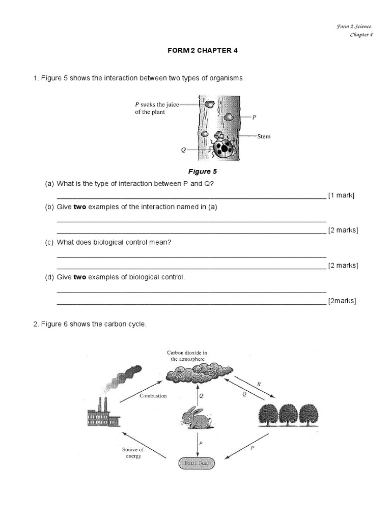 Form 2 Science Chapter 4 | PDF