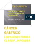 Aula Ca Gástrico 1.ppt - pdf-2