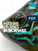 Webversjon Endelig Marine Studies