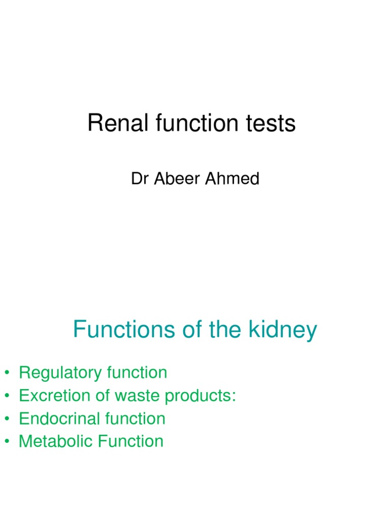 Overview of Renal Function Tests | PDF | Renal Function | Creatinine