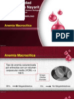 Anemia Macrocitica1
