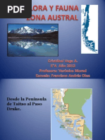 Fauna y flora del norte chico de Chile | PDF | Novela negra, policíaca ...