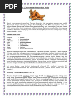 Download Tanaman Kunyit by Nova Saritirista SN216656606 doc pdf