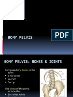 10. Bony Pelvis & Sexual Dimorphism