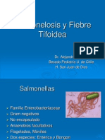 Salmonelosis y Fiebre Tifoidea