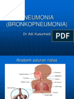 Bronko Pneumonia 3