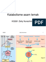 Katabolisme Asam Lemak