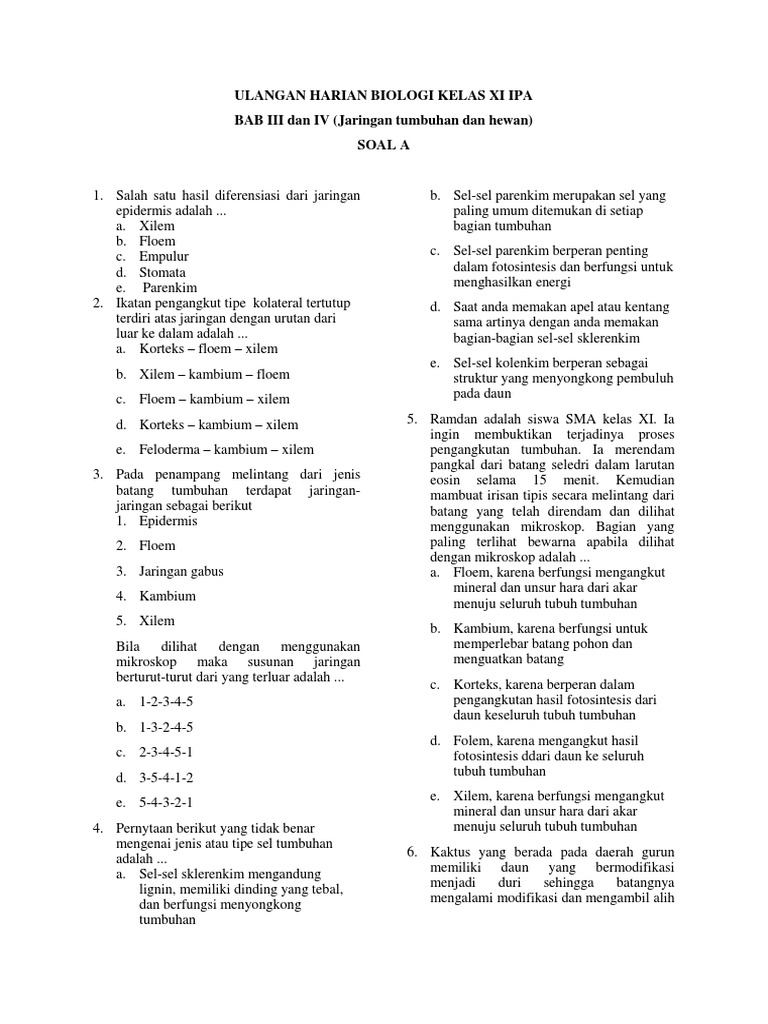Tumbuhan Yang Batangnya Mengalami Modifikasi Struktur Dan