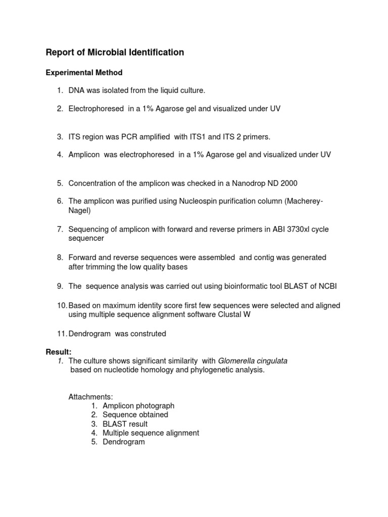 Microbial DNA Analysis Report | PDF